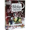 /products/biblia-para-jovens/